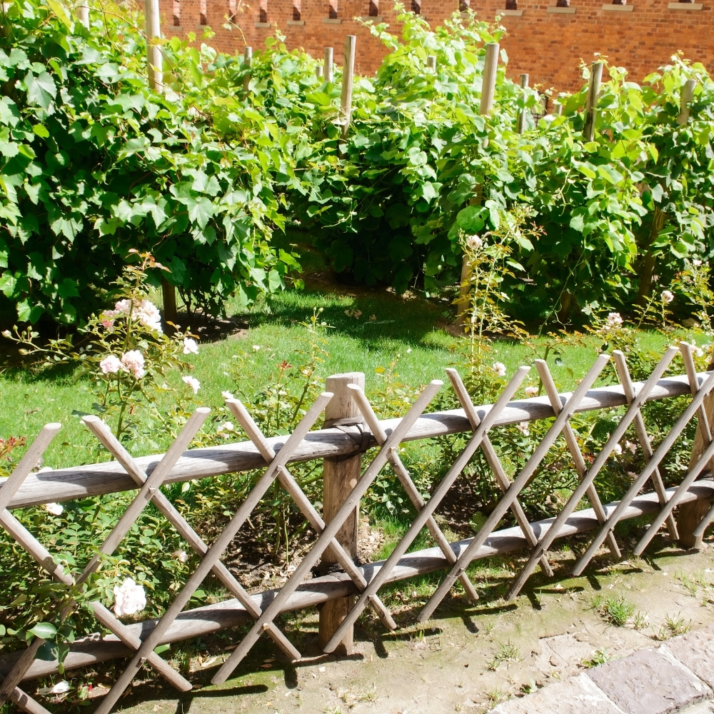 Bahçe Çit Yapımı ve Bakımı Örnekleri 134567802