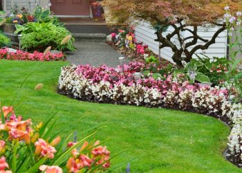 bahçe tasarimi ve düzenleme izmir