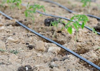 damlama sulama sistemi