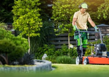 peyzaj bakim ve yonetim