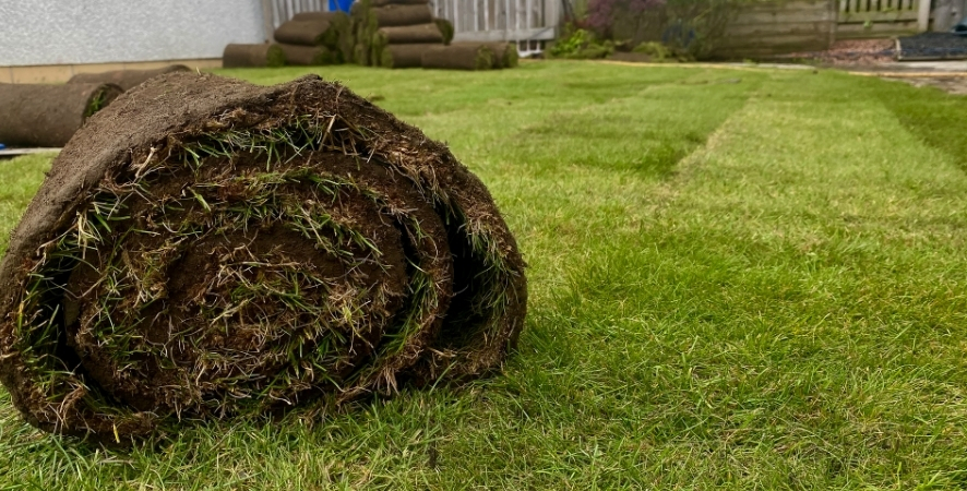 Antalya Hazır Rulo Çim