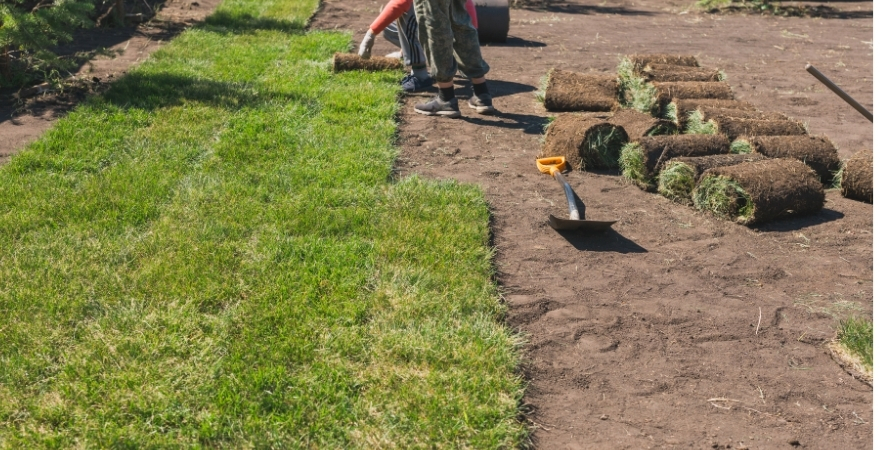 Aydın Hazır Rulo Çim