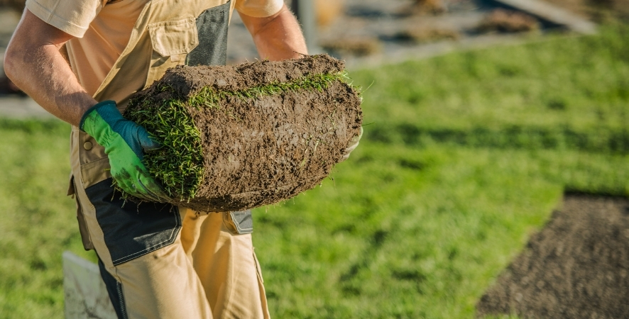 Balıkesir Hazır Rulo Çim