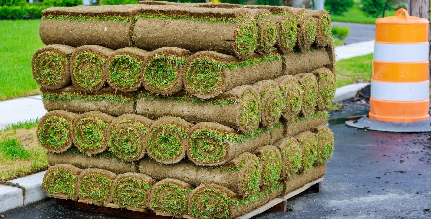 Bodrum Hazır Rulo Çim