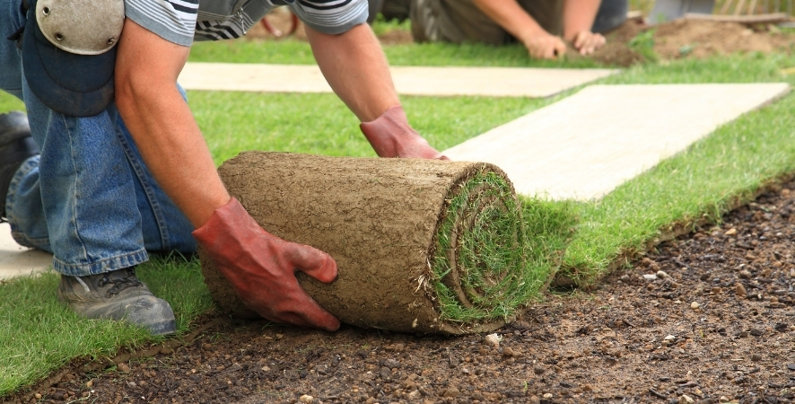Çim Döşeme Nasıl Yapılır? Adım Adım Uygulama Rehberi