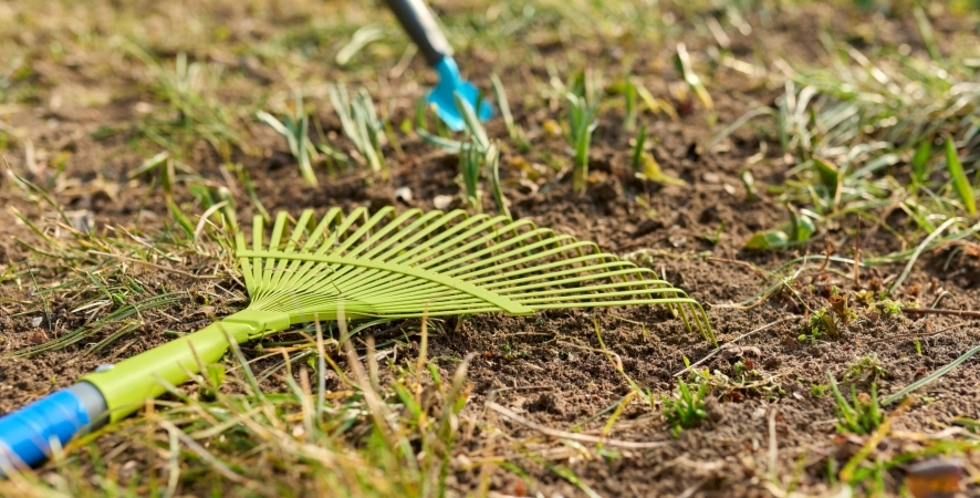 Çim Havalandırmanın Faydaları Nelerdir?