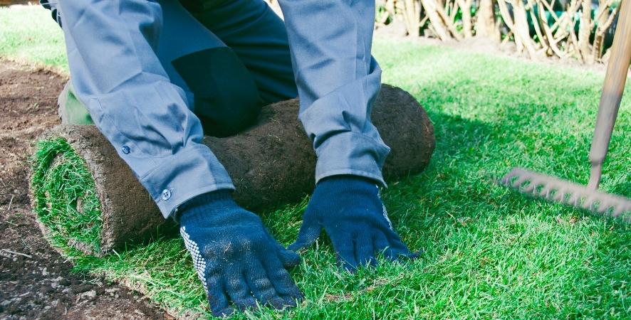 Denizli Hazır Rulo Çim
