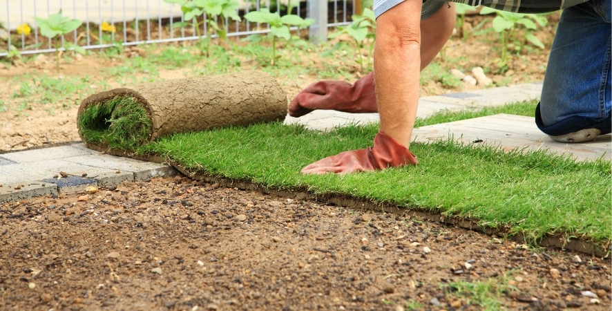 Didim Hazır Rulo Çim