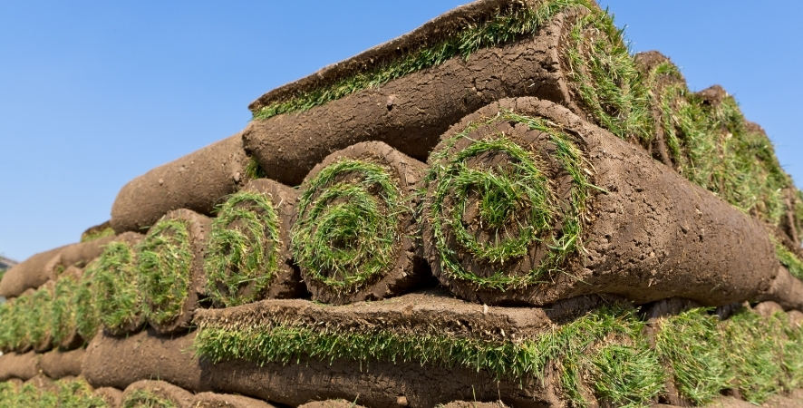 Fethiye Hazır Rulo Çim