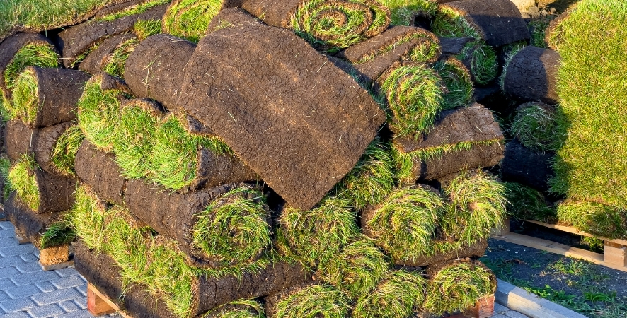 Gümüldür Hazır Rulo Çim