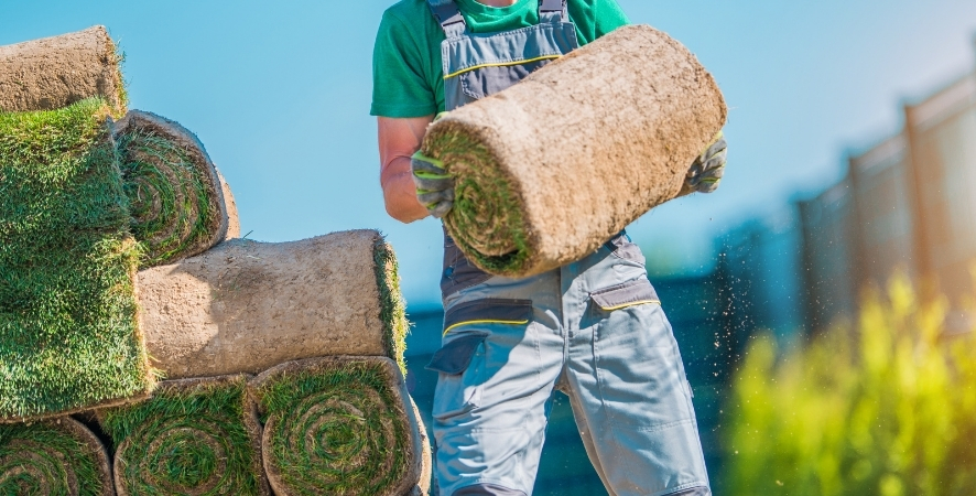 Hazır Rulo Çim Nedir? Çeşitleri ve Seçim Rehberi