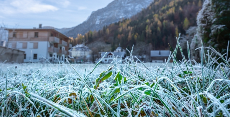 Kışın Çim Bakımı