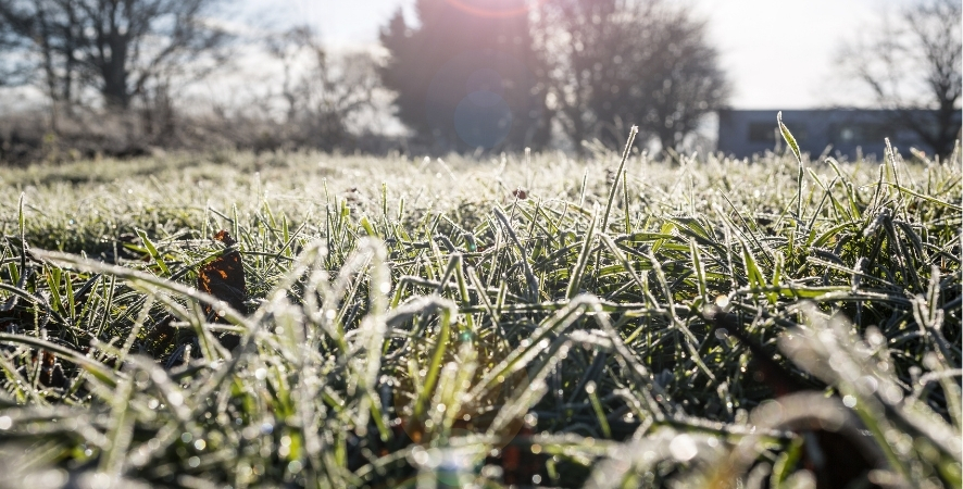 Kışın Çim Bakımında Yapılan Hatalar