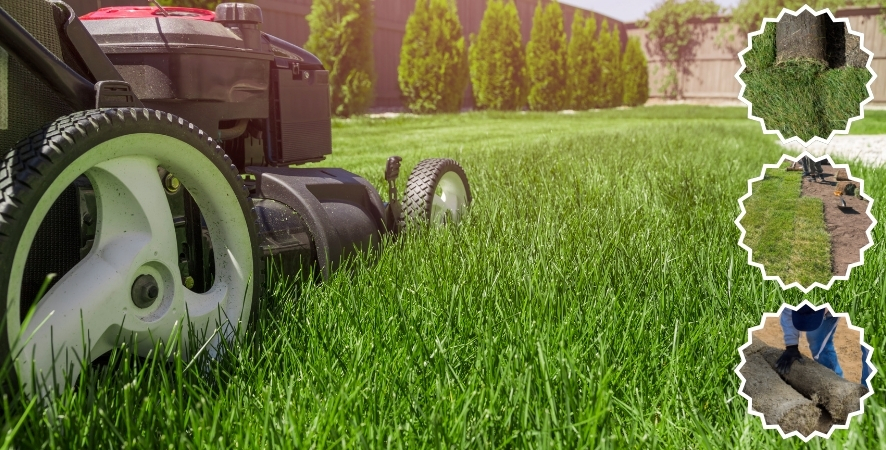 Kuşadası Hazır Rulo Çim