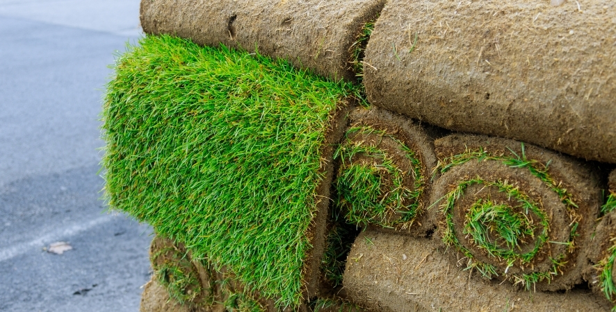 Marmaris Hazır Rulo Çim