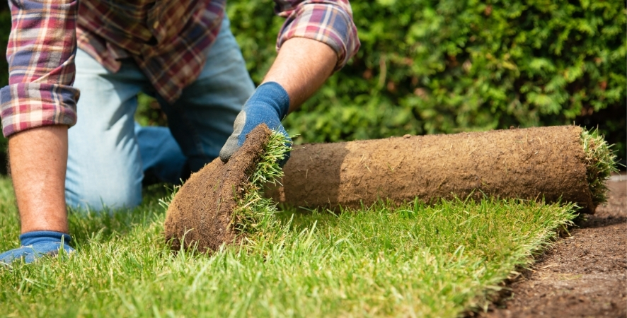 Milas Hazır Rulo Çim