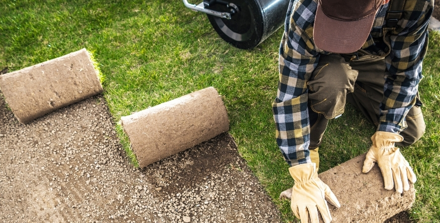 Muğla Hazır Rulo Çim
