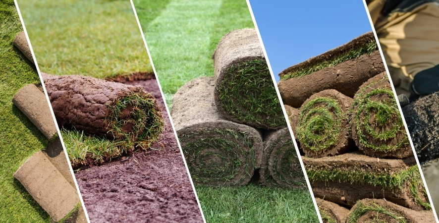 Neden Hazır Rulo Çim