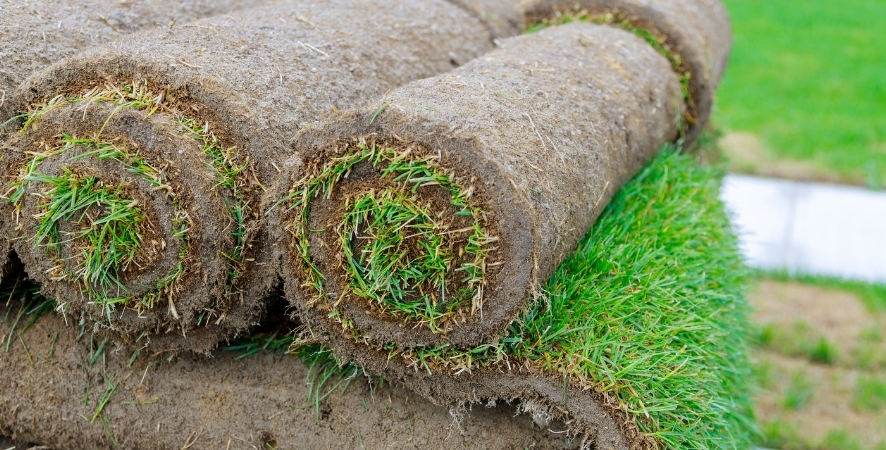 Rulo Çim m2 Fiyatı Ne Kadar?